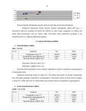 Veiklos ekonominis įvertinimas: UAB "Jonavos autobusai" 10 puslapis