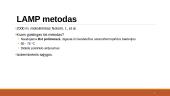DNR pagausinimas ne PGR būdu ir galimas panaudojimas žmogaus genomo tyrimuose 3 puslapis