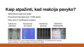 DNR pagausinimas ne PGR būdu ir galimas panaudojimas žmogaus genomo tyrimuose 8 puslapis
