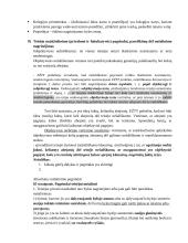 Civiliniai procesiniai teisiniai santykiai ir jų subjektai 5 puslapis