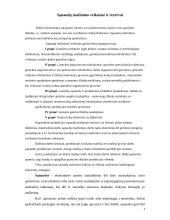 Veiklos sąnaudų mažinimas 4 puslapis