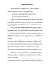 Veiklos sąnaudų mažinimas 6 puslapis