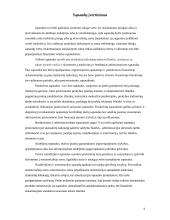 Veiklos sąnaudų mažinimas 8 puslapis