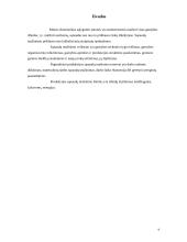 Veiklos sąnaudų mažinimas 9 puslapis