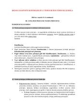 Civilinio proceso teisės principai (konspektas)