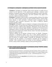 Civilinio proceso teisės principai (konspektas) 3 puslapis