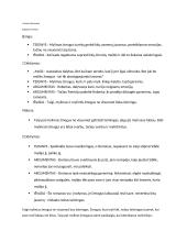 Ar mylimas žmogus visada laimingas? Planas