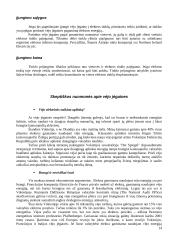 Vėjo energija. Vėjo energijos panaudojimas 14 puslapis