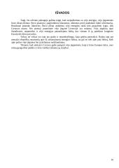 Vėjo energija. Vėjo energijos panaudojimas 16 puslapis