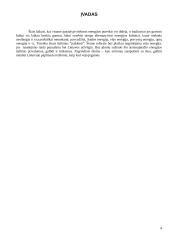 Vėjo energija. Vėjo energijos panaudojimas 4 puslapis