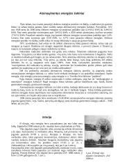 Vėjo energija. Vėjo energijos panaudojimas 5 puslapis