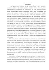 Vėjo jėgainės ir vėjo malūnai 2 puslapis