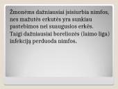 Erkės. Kaip apsisaugoti 12 puslapis
