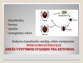 Erkės. Kaip apsisaugoti 3 puslapis