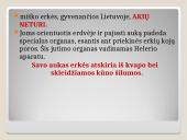 Erkės. Kaip apsisaugoti 7 puslapis