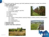 Lietuvos žemės fondas 12 puslapis