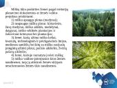 Lietuvos žemės fondas 6 puslapis