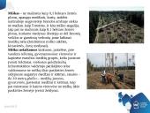 Lietuvos žemės fondas 7 puslapis