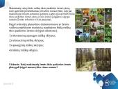 Lietuvos žemės fondas 8 puslapis