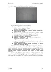 Vėjo jėgainės kaip atsinaujinantis energijos šaltinis 13 puslapis