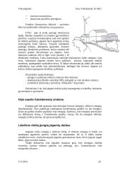 Vėjo jėgainės kaip atsinaujinantis energijos šaltinis 20 puslapis