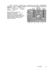 Verdančio vandens reaktoriai 13 puslapis