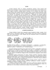 Verdančio vandens reaktoriai 3 puslapis