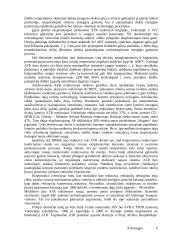 Verdančio vandens reaktoriai 6 puslapis