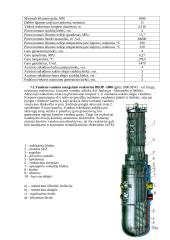 Verdančio vandens reaktoriai 10 puslapis