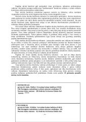 Verslas Lietuvoje, jo organizavimas ir galimybės 14 puslapis