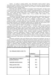 Verslas Lietuvoje, jo organizavimas ir galimybės 3 puslapis