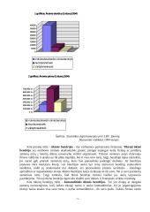 Verslas Lietuvoje, jo organizavimas ir galimybės 5 puslapis