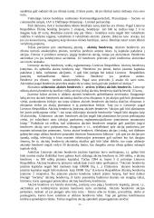 Verslas Lietuvoje, jo organizavimas ir galimybės 6 puslapis