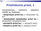Sintaksės klaidos: prielinksnių ir polinksnių vartosena 13 puslapis