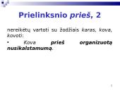 Sintaksės klaidos: prielinksnių ir polinksnių vartosena 14 puslapis