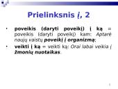 Sintaksės klaidos: prielinksnių ir polinksnių vartosena 6 puslapis