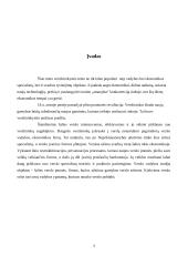 Verslininkystės samprata ir raida Lietuvoje 2 puslapis