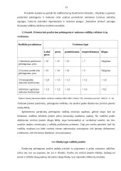 AB „Rokiškio sūris“ pelno (nuostolių) ataskaitos analizė 13 puslapis