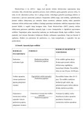 AB „Rokiškio sūris“ pelno (nuostolių) ataskaitos analizė 14 puslapis