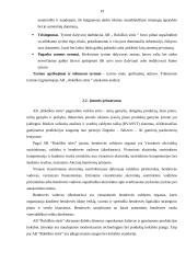 AB „Rokiškio sūris“ pelno (nuostolių) ataskaitos analizė 19 puslapis