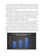 AB „Rokiškio sūris“ pelno (nuostolių) ataskaitos analizė 20 puslapis