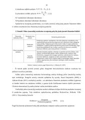 AB „Rokiškio sūris“ pelno (nuostolių) ataskaitos analizė 10 puslapis