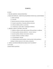 Verslo aplinkos organizavimas: UAB "Plandent" 2 puslapis