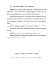 Verslo aplinkos organizavimas: UAB "Plandent" 11 puslapis