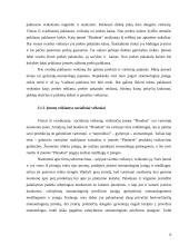 Verslo aplinkos organizavimas: UAB "Plandent" 17 puslapis
