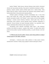 Verslo aplinkos organizavimas: UAB "Plandent" 19 puslapis