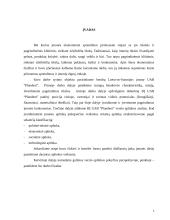 Verslo aplinkos organizavimas: UAB "Plandent" 3 puslapis