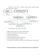 Verslo aplinkos organizavimas: UAB "Plandent" 5 puslapis