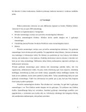 Verslo aplinkos organizavimas: UAB "Plandent" 7 puslapis