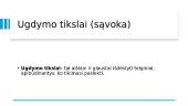 Ikimokyklinį ir priešmokyklinį ugdymą reglamentuojantys dokumentai 14 puslapis